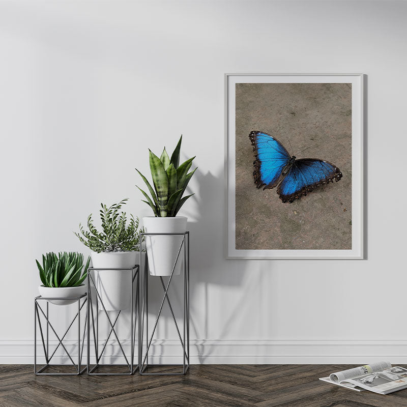 Quadro Decorativo Borboleta Azul Pendurado ao Lado de Plantas Verdes.