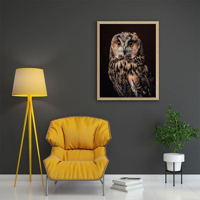 Quadro Decorativo Coruja