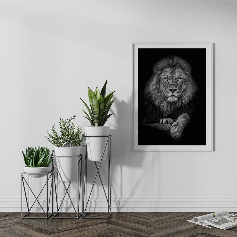 Quadro Decorativo Leão Preto e Branco