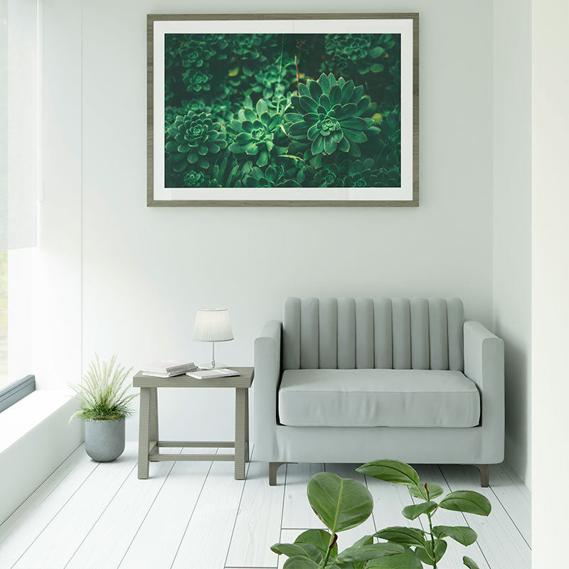 Quadro Decorativo Suculentas