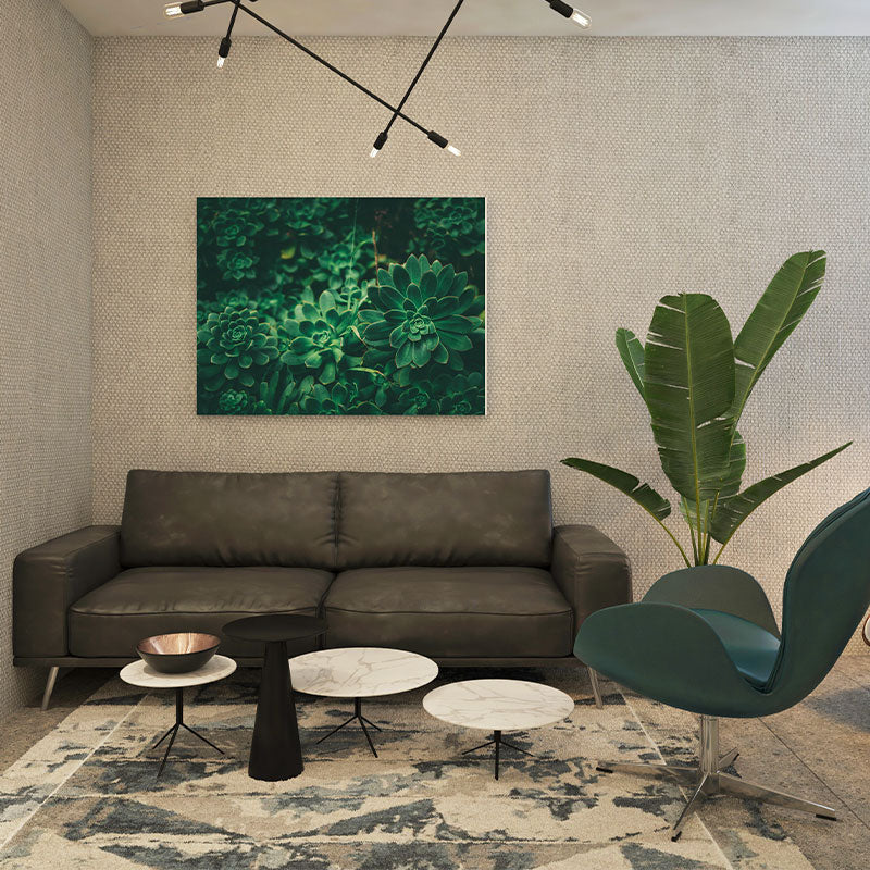 Quadro Decorativo Suculentas