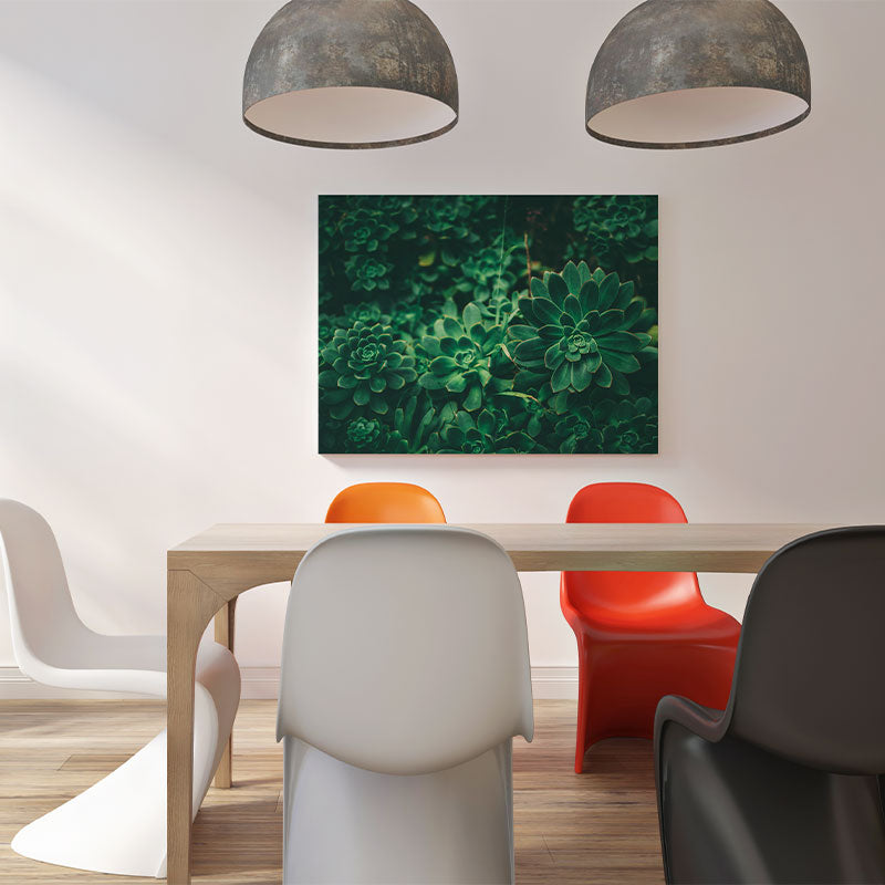 Quadro Decorativo Suculentas
