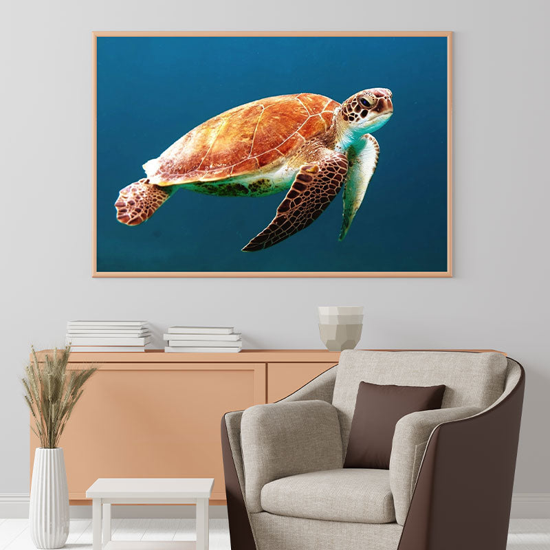 Quadro Decorativo Tartaruga Marinha Pendurado Acima de Poltrona.