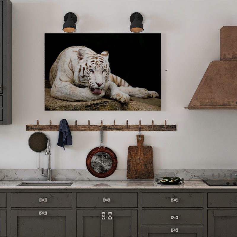 Quadro Decorativo Tigre Branco Com Olhos Azuis