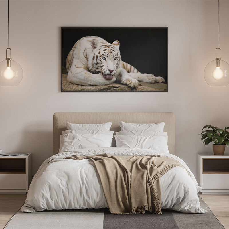 Quadro Decorativo Tigre Branco Com Olhos Azuis