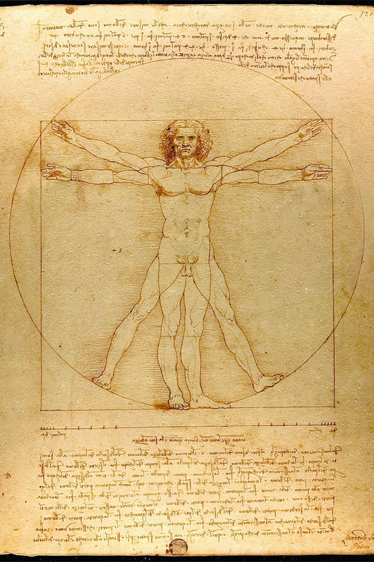 Homem Vitruviano Desenho de Leonardo da Vinci