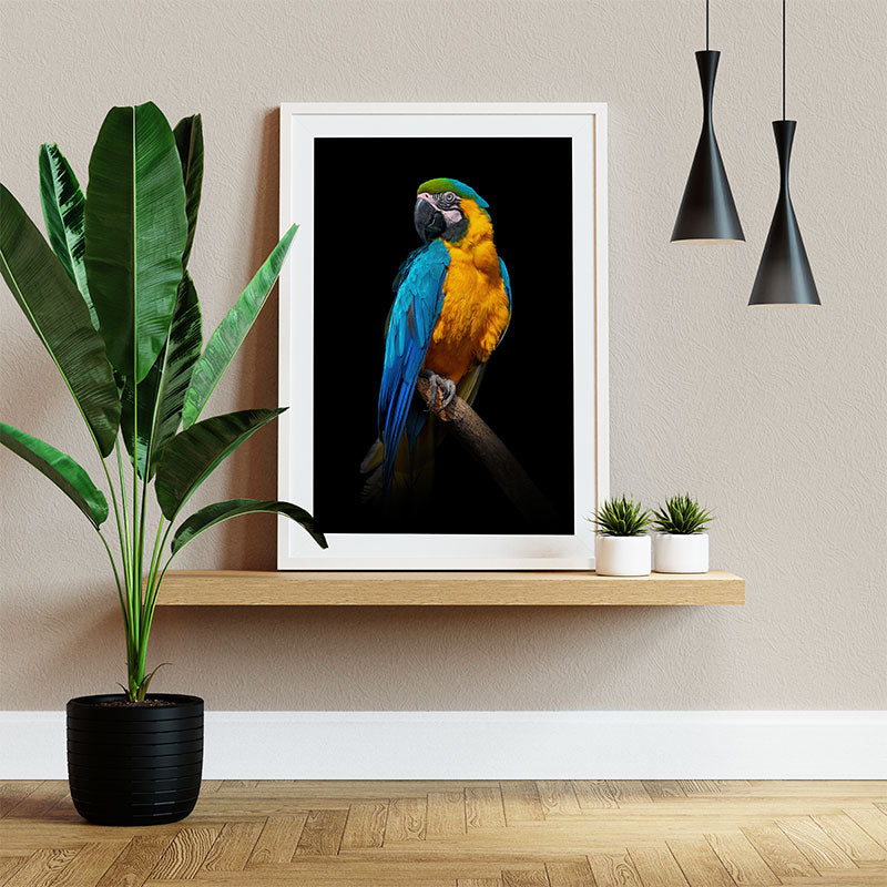 Quadro Decorativo Arara Azul