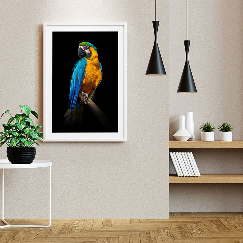 Quadro Decorativo Arara Azul