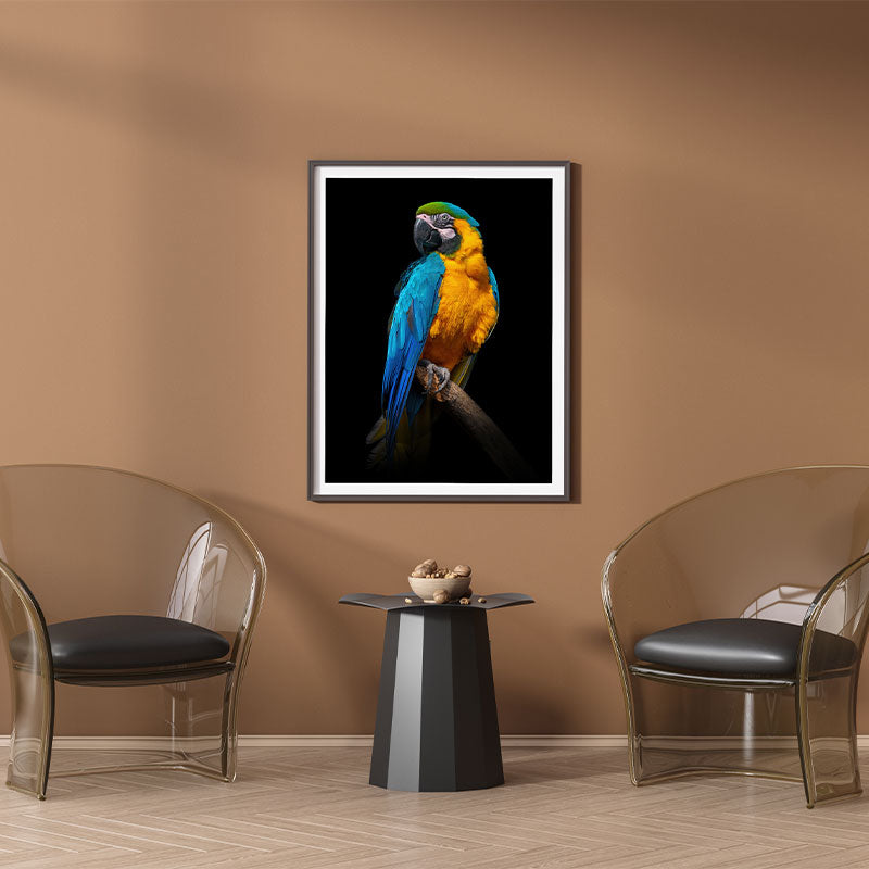 Quadro Decorativo Arara Azul