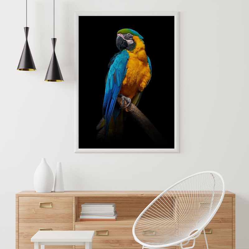 Quadro Decorativo Arara Azul