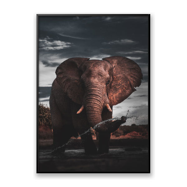 Quadro Decorativo Elefante Na Savana Moldura Filete Preta