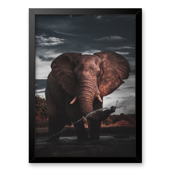 Quadro Decorativo Elefante Na Savana Moldura Tradicional Preta