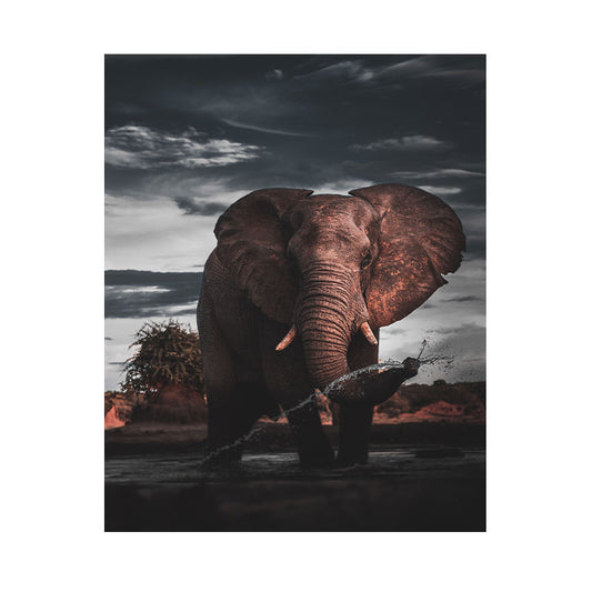 Quadro Decorativo Elefante Na Savana