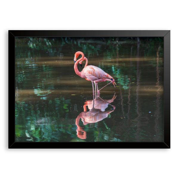 Quadro Decorativo Flamingos Moldura Tradicional Preta