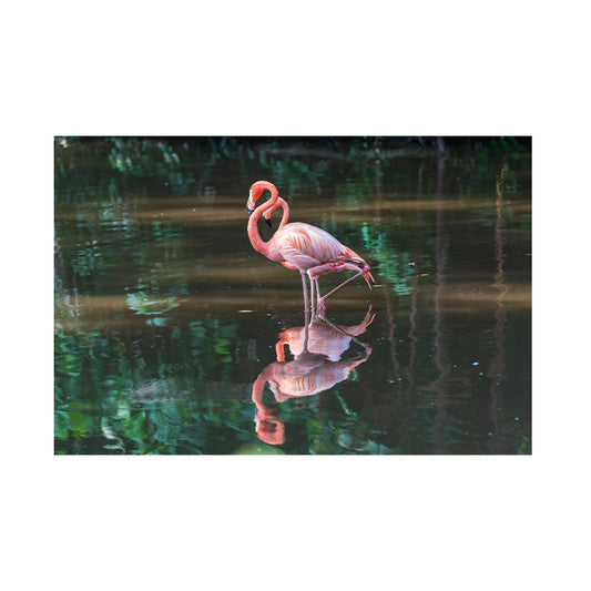Quadro Decorativo Flamingos