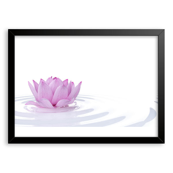 Quadro Decorativo Flor De Lótus Moldura Tradicional Preta
